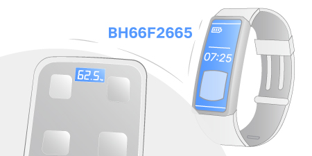 Новый микроконтроллер Holtek  для измерения уровня жира BH66F2665